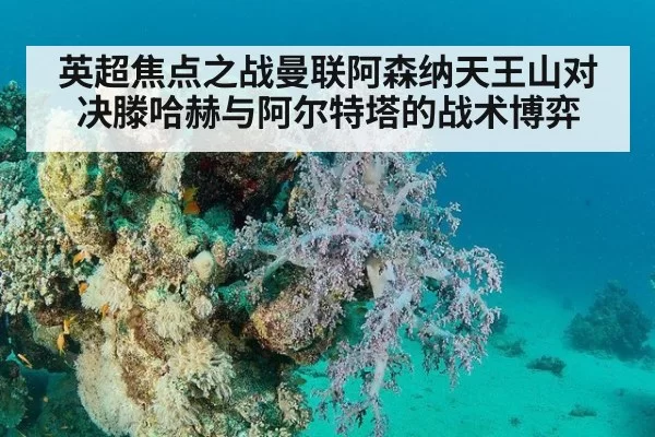 英超焦点之战曼联阿森纳天王山对决滕哈赫与阿尔特塔的战术博弈