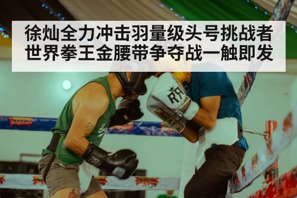 徐灿全力冲击羽量级头号挑战者 世界拳王金腰带争夺战一触即发